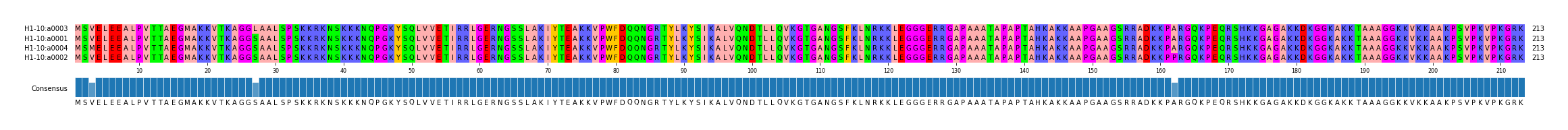 Multiple Alignments (by translate haplotype similarity)