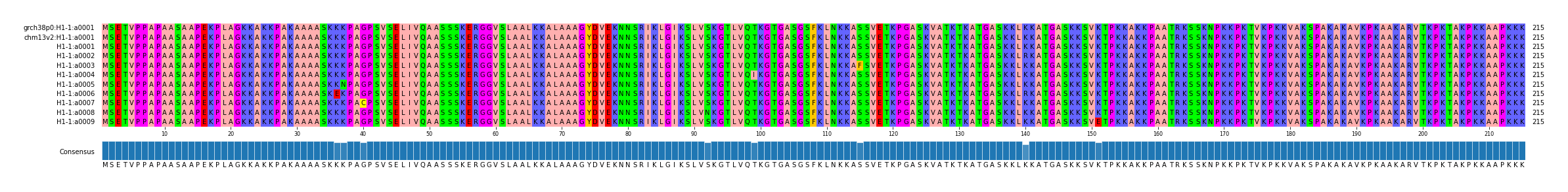 Multiple Alignments (by translate haplotype frequency)