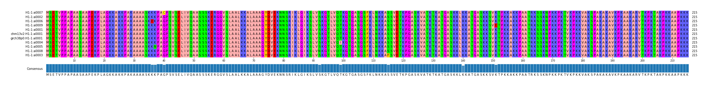 Multiple Alignments (by translate haplotype similarity)