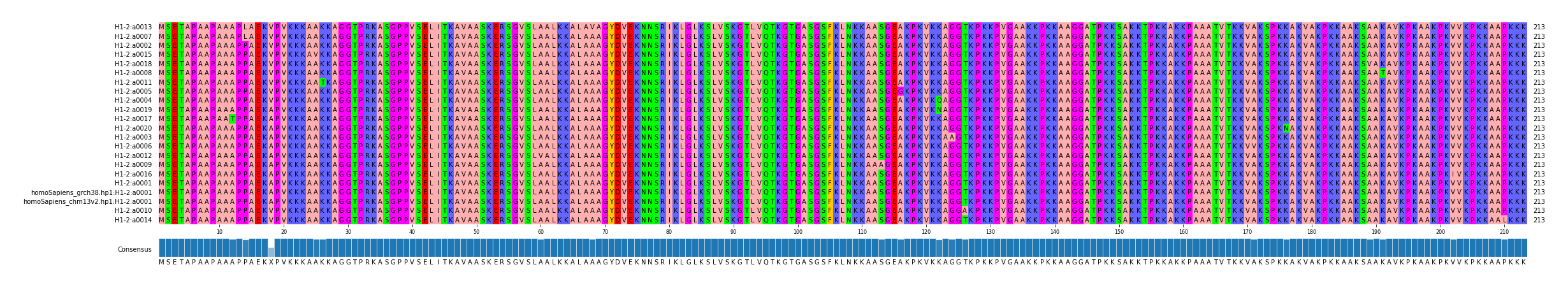 Multiple Alignments (by translate haplotype similarity)