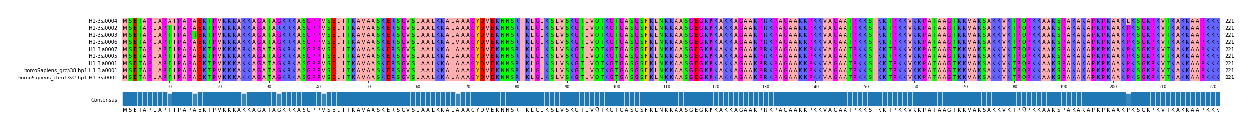Multiple Alignments (by translate haplotype similarity)