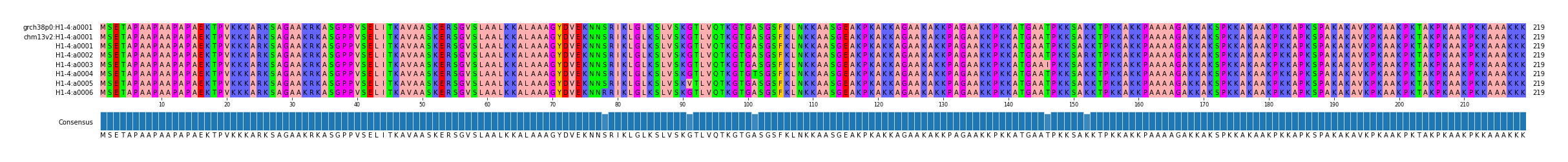 Multiple Alignments (by translate haplotype frequency)