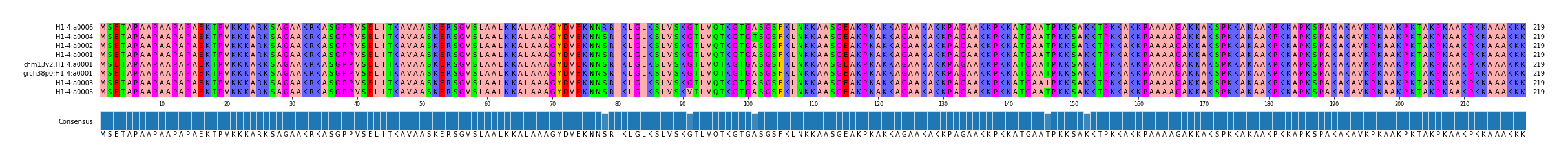 Multiple Alignments (by translate haplotype similarity)