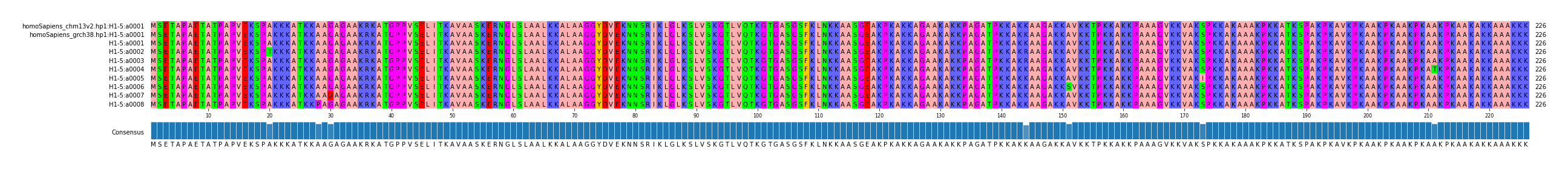 Multiple Alignments (by translate haplotype frequency)