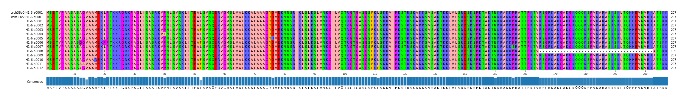 Multiple Alignments (by translate haplotype frequency)