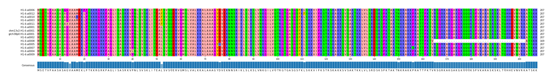 Multiple Alignments (by translate haplotype similarity)