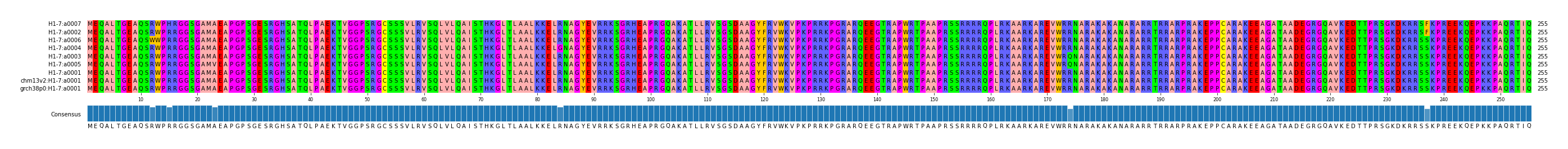 Multiple Alignments (by translate haplotype similarity)