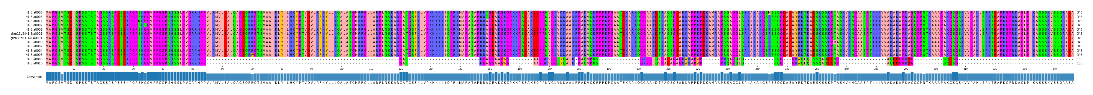 Multiple Alignments (by translate haplotype similarity)