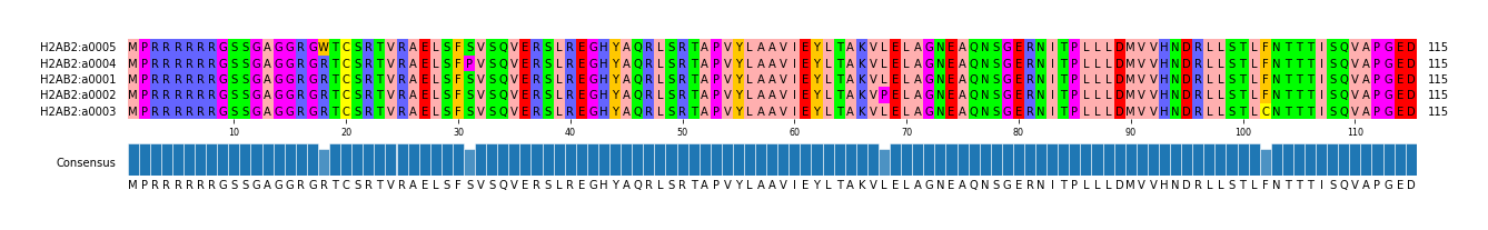Multiple Alignments (by translate haplotype similarity)