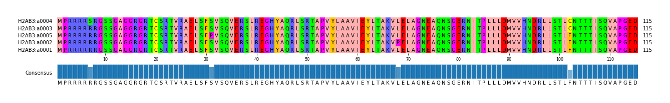 Multiple Alignments (by translate haplotype similarity)