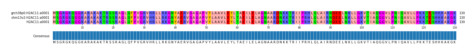 Multiple Alignments (by translate haplotype similarity)