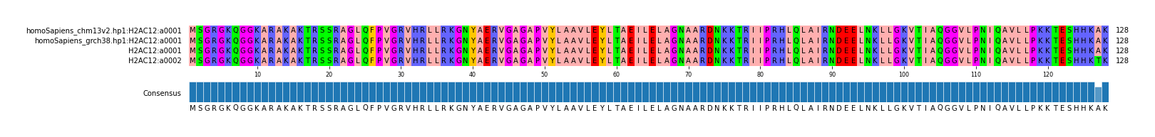 Multiple Alignments (by translate haplotype frequency)