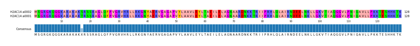 Multiple Alignments (by translate haplotype similarity)