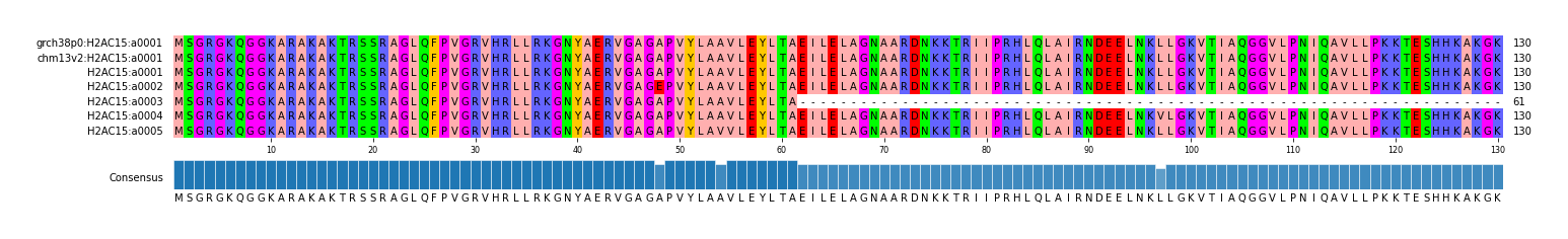 Multiple Alignments (by translate haplotype frequency)