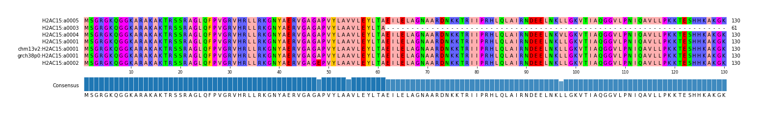 Multiple Alignments (by translate haplotype similarity)