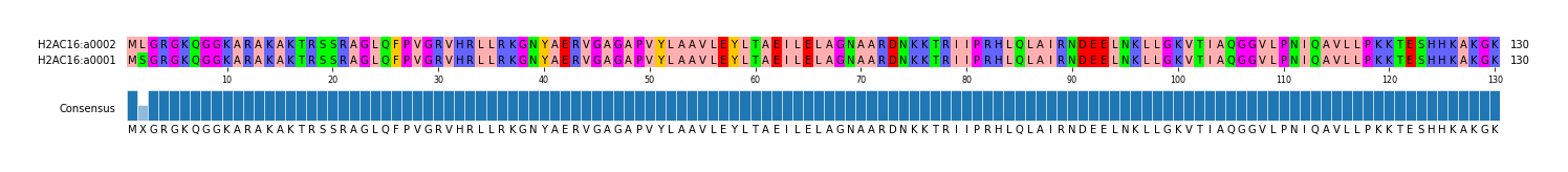 Multiple Alignments (by translate haplotype similarity)