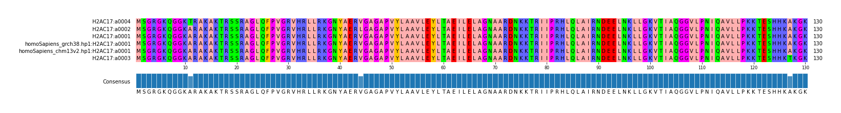 Multiple Alignments (by translate haplotype similarity)