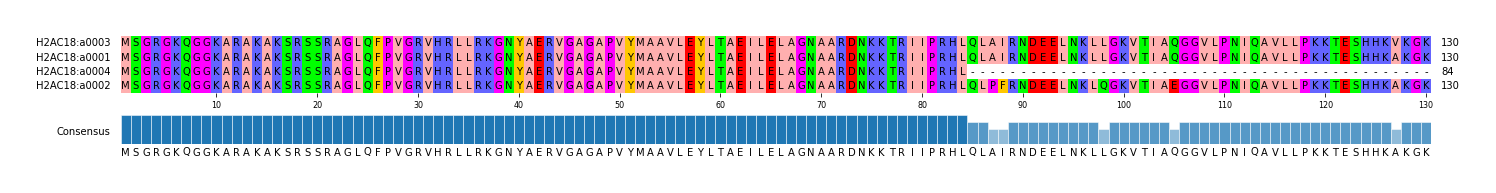 Multiple Alignments (by translate haplotype similarity)