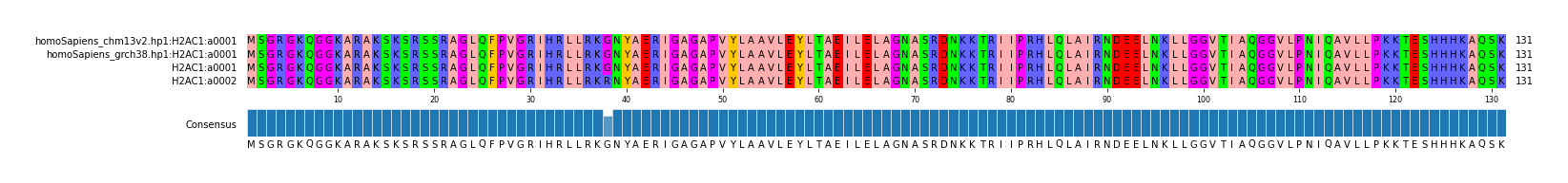 Multiple Alignments (by translate haplotype similarity)