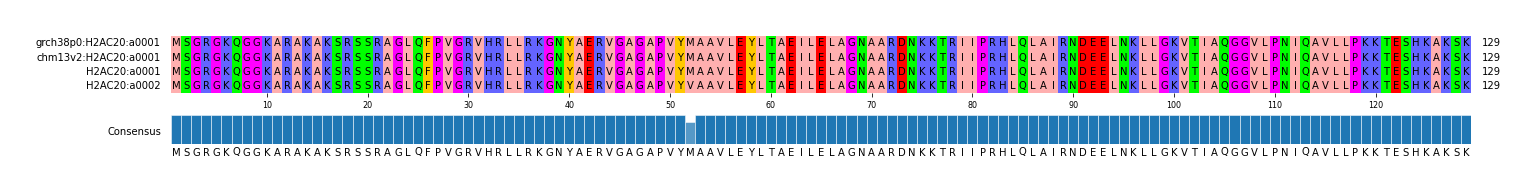 Multiple Alignments (by translate haplotype similarity)