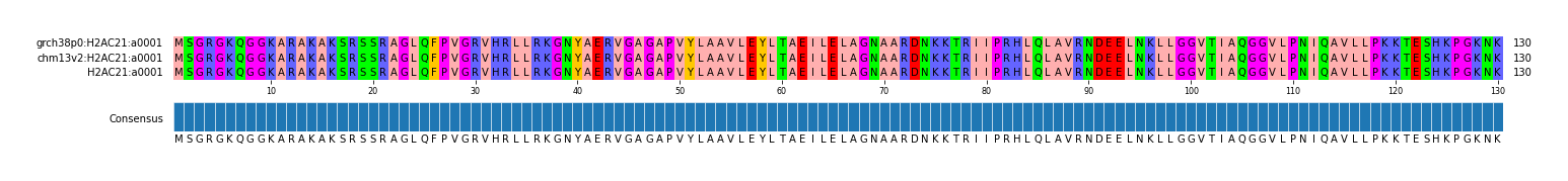 Multiple Alignments (by translate haplotype similarity)
