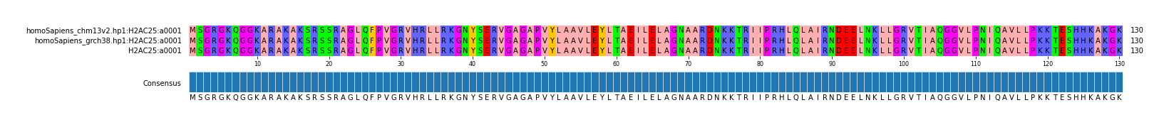 Multiple Alignments (by translate haplotype similarity)