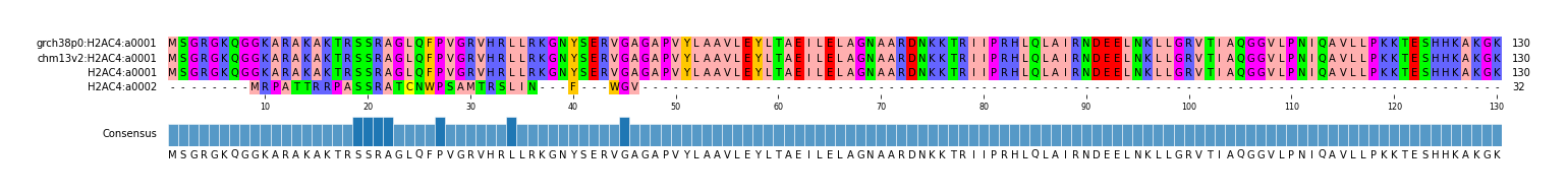 Multiple Alignments (by translate haplotype similarity)