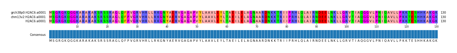 Multiple Alignments (by translate haplotype similarity)