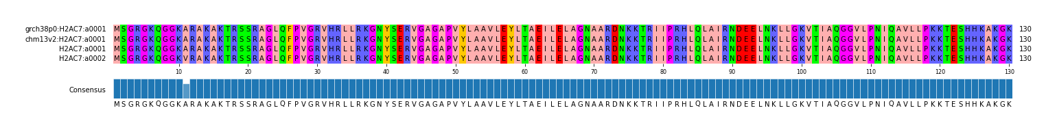 Multiple Alignments (by translate haplotype similarity)