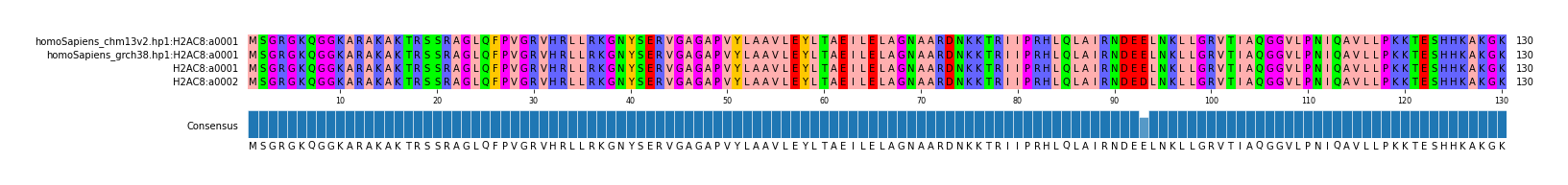 Multiple Alignments (by translate haplotype similarity)