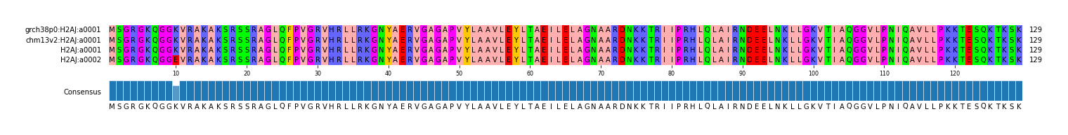 Multiple Alignments (by translate haplotype similarity)
