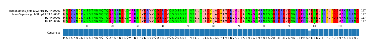 Multiple Alignments (by translate haplotype frequency)