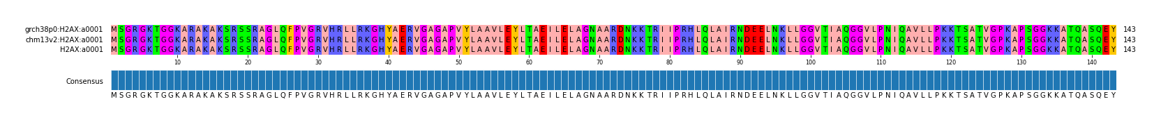 Multiple Alignments (by translate haplotype similarity)
