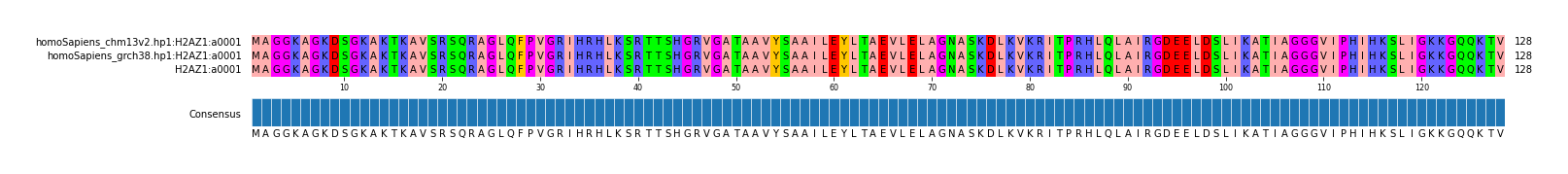 Multiple Alignments (by translate haplotype frequency)