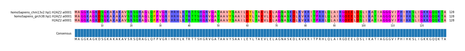 Multiple Alignments (by translate haplotype frequency)
