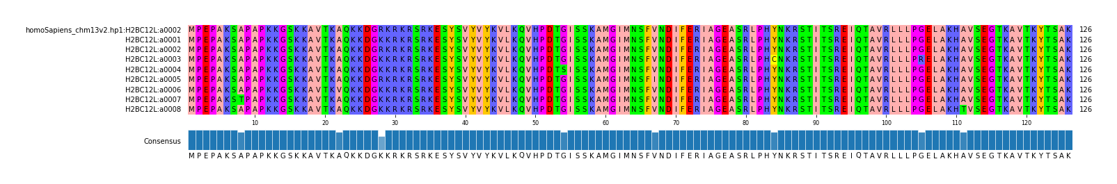 Multiple Alignments (by translate haplotype frequency)