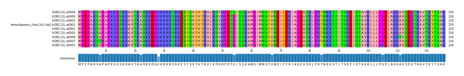 Multiple Alignments (by translate haplotype similarity)