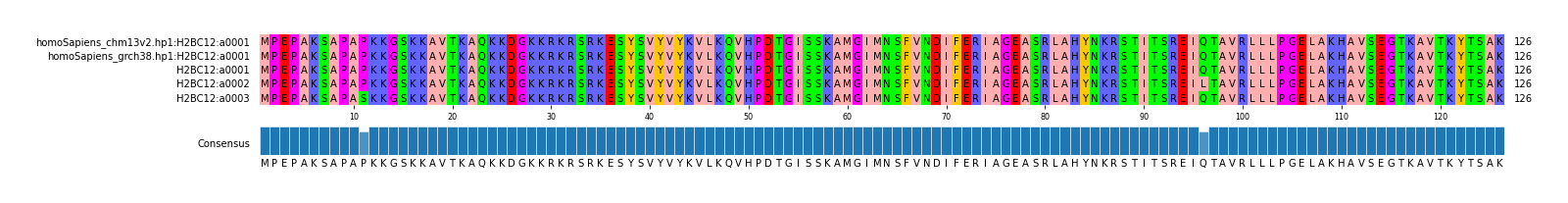 Multiple Alignments (by translate haplotype frequency)