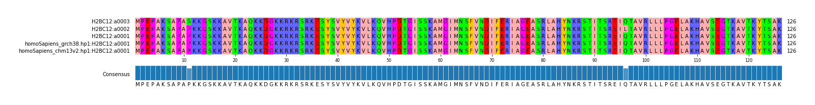Multiple Alignments (by translate haplotype similarity)