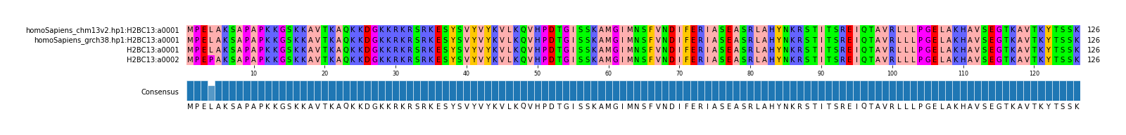 Multiple Alignments (by translate haplotype similarity)