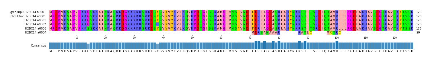 Multiple Alignments (by translate haplotype frequency)