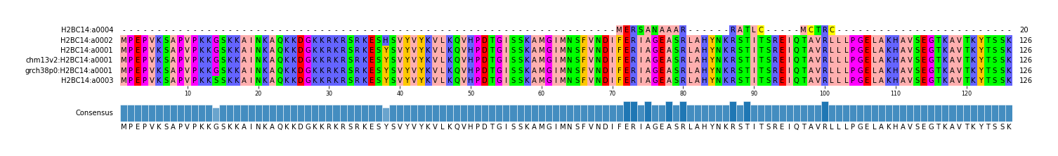 Multiple Alignments (by translate haplotype similarity)