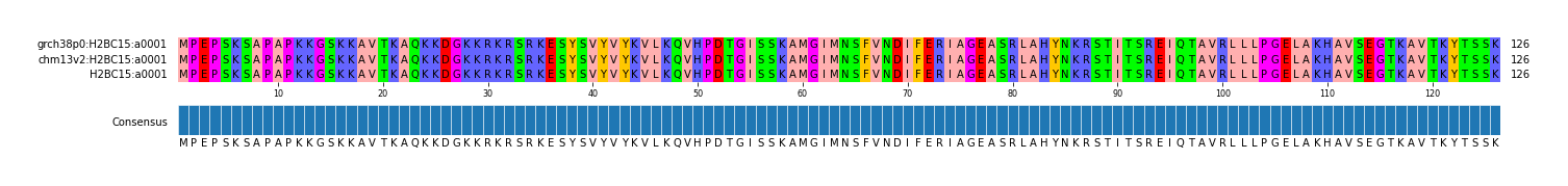 Multiple Alignments (by translate haplotype similarity)