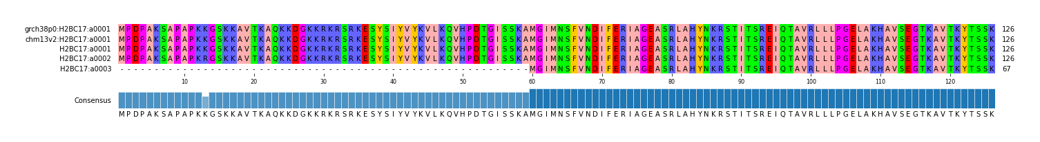 Multiple Alignments (by translate haplotype frequency)