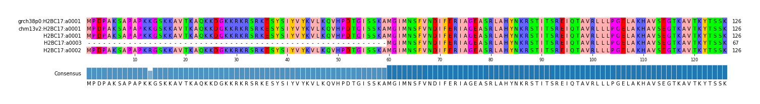 Multiple Alignments (by translate haplotype similarity)