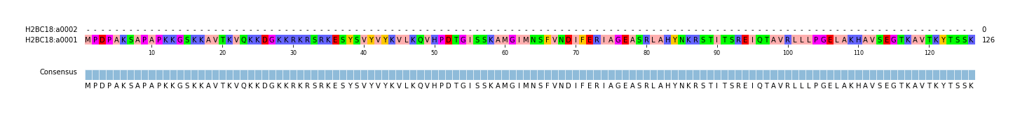 Multiple Alignments (by translate haplotype similarity)