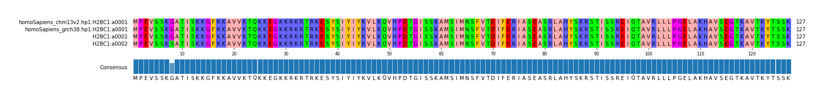 Multiple Alignments (by translate haplotype frequency)