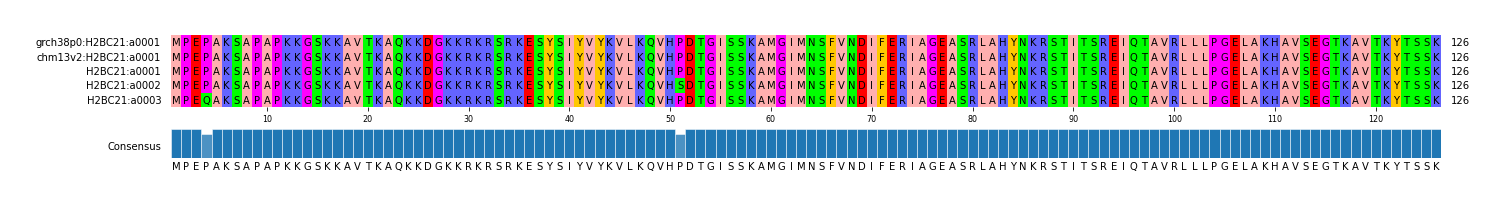 Multiple Alignments (by translate haplotype frequency)