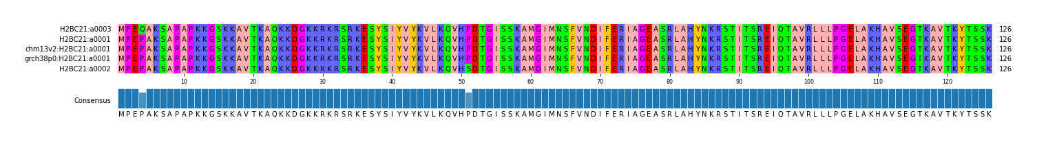Multiple Alignments (by translate haplotype similarity)