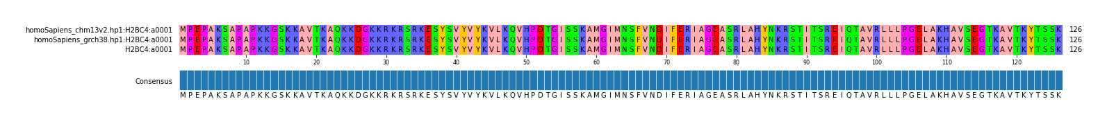 Multiple Alignments (by translate haplotype similarity)